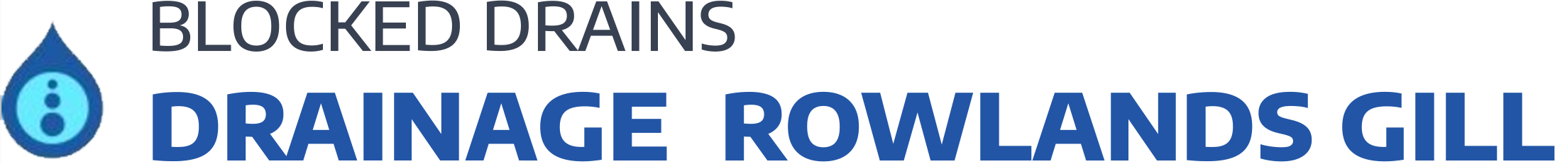 website logo